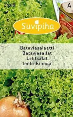 KÖÖGIVILJASEEMNED SUVIPIHA LEHTSALAT LOLLO BIONDA 