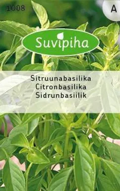 KÖÖGIVILJASEEMNED SUVIPIHA SIDRUNBASIILIK 
