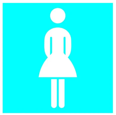 KLEEBIS NAISTE WC 10X10