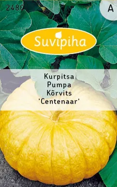 KÖÖGIVILJASEEMNED SUVIPIHA KÕRVITS GELBE CENTENAAR 
