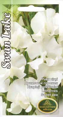 SEEMNED KURZEMES SEKLAS LILLHERNES SWAN LAKE 2 G