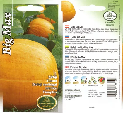 SEEMNED KURZEMES SEKLAS KÕRVITS BIG MAX 2G