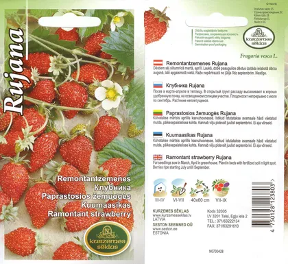 SEEMNED KURZEMES SEKLAS KUUMAASIKAS RUJANA 0,1G