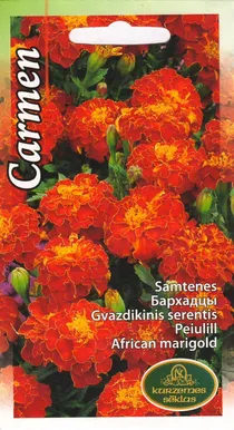 LILLESEEMNED KURZEMES SEKLAS PEIULILL CARMEN 1G