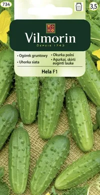 KÖÖGIVILJASEEMNED KURK HELA VILMORIN CLASSIC