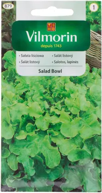 KÖÖGIVILJASEEMNED SALAT SALAD BOWL