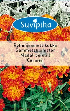 LILLESEEMNED SUVIPIHA PEIULILL MADAL CARMEN 