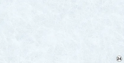 KLEEBIS D-C-FIX 0,45X2M KLAASILE 346-0350