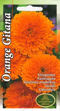 SEEMNED KURZEMES SEKLAS SAIALILL ORANGE GITANA 2 G