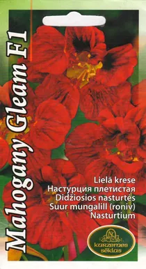 SEEMNED KURZEMES SEKLAS MUNGALILL MAHOGANY GLEAM F1 3 G