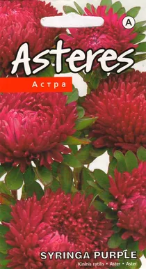 SEEMNED KURZEMES SEKLAS ASTER SYRINGA PURPLE 0,4 G