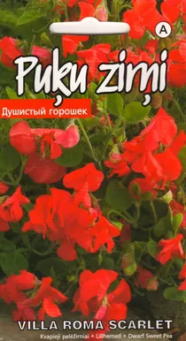 SEEMNED KURZEMES SEKLAS LILLHERNES VILLA ROMA SCARLET MADAL 1 G
