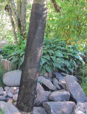 TÜVEAKAITSEVÕRK TARHA 35X55CM 2TK PAKIS