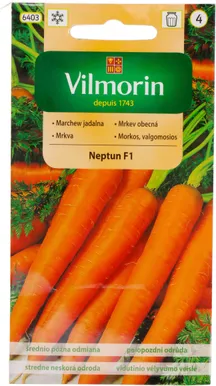 KÖÖGIVILJASEEMNED PORGAND NEPTUN F1 VILMORIN CLASSIC