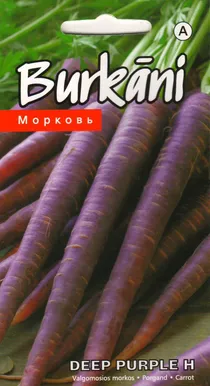 SEEMNED KURZEMES SEKLAS PORGAND DEEP PURPLE H 0,2G