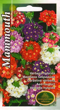 SEEMNED KURZEMES SEKLAS AED-RAUDÜRT MAMMOTH SEGU 0,2G