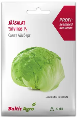 SEEMNED BALTIC AGRO JÄÄSALAT "SILVINAS"  F1