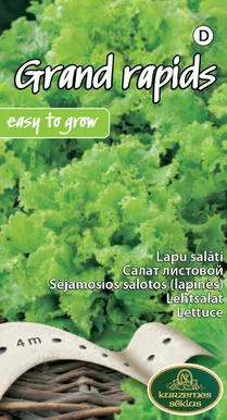 SEEMNED KURZEMES SEKLAS SALAT GRAND RAPIDS 4M LINDIL