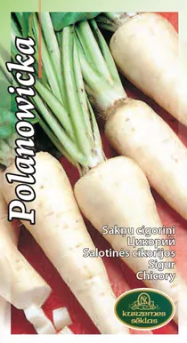 KÖÖGIVILJASEEMNED KURZEMES SEKLAS SIGUR POLANOWICKA 1G