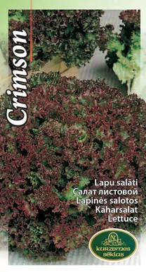 KÖÖGIVILJASEEMNED KURZEMES SEKLAS SALAT LOLLO ROSSA 1G