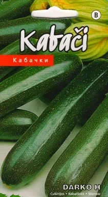 SEEMNED KURZEMES SEKLAS KABATŠOKK 'DARKO H' TUMEROHELINE 5 S