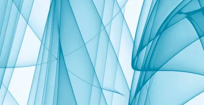 KLEEBIS D-C-FIX 0,45X1,5M 343-1005