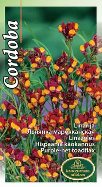 SEEMNED KURZEMES SEKLAS HISPAANIA KÄOKANNUS CORDOBA 0,3 G