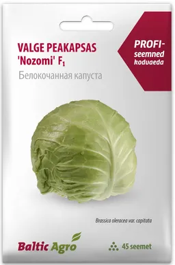 SEEMNED BALTIC AGRO VARAJANE KAPSAS NOZOMI 45 SEEMET
