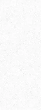 SEINAPANEEL VILO PVC 250X2650MM DAISY 2,65M² PAKIS