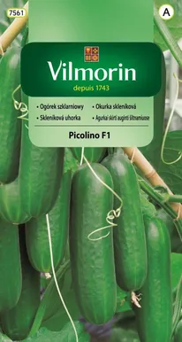 KÖÖGIVILJASEEMNED KURK PICOLINO F1