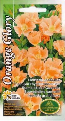 SUUREÕIELINE SAMETLILL ORANGE GLORY 0,3G