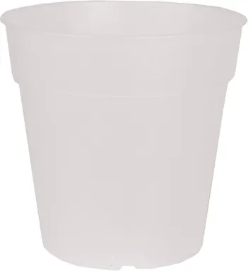 ISTUTUSPOTT ORHIDEELE ARTEVASI MADAGASCAR TO GROW 19CM LÄBIPAISTEV