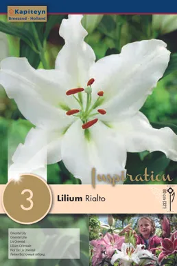 IDALIILIA KAPITEYN "RIALTO" 3TK PAKIS