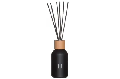 ÕHUVÄRSKENDAJA RENTO ARKTILINE MÄND 100ML