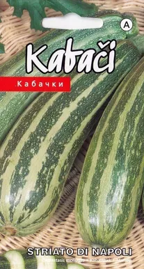 SEEMNED KURZEMES SEKLAS KABATŠOKK "STRIATO DI NAPOLI" 2G