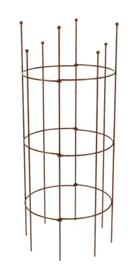 POJENGI- JA ROOSITUGI HANSANOVA SILINDER