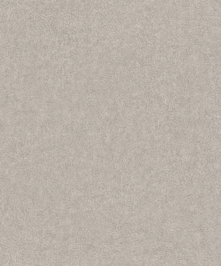 TAPEET GRANDECO SANTIAGO A67003 0,53X10,05M