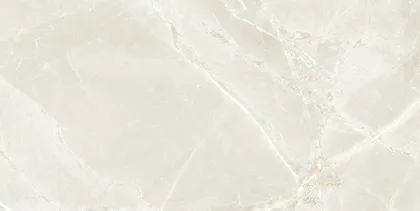 PÕRANDA-JA SEINAPLAAT PRISSMACER FIOR DI BOSCO SAND SILK MATT 60X120CM