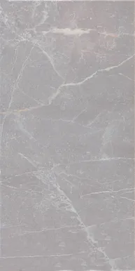 SEINAPLAAT PRISSMACER ESS AUREA PERLA GLOSSY 25X50CM