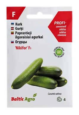 SEEMNED BALTIC AGRO PIKK KASVUHOONEKURK "NIKIFOR" F1, 4 SEEMET