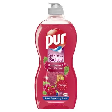 NÕUDEPESUVAHEND PUR POWER RASPBERRY AND RED CURRANT 450ML