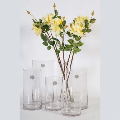 VAAS IN HOME D12XH30CM LÄBIPAISTEV