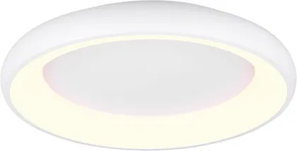 LAELAMP TRIO CARDONA LED 62CM 649616031 MATT VALGE