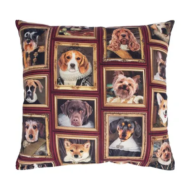 PADI HOLLY 45X45CM, KOERAD RAAMIS