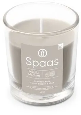 LÕHNASTATUD KÜÜNAL SPAAS KLAASIS LÄBIPAISTEV 25H PUUVILLAÕIS