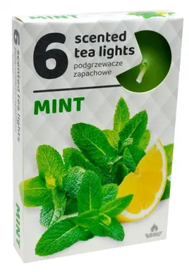 LÕHNASTATUD TEEKÜÜNAL ADMIT 4H MÜNT 6TK