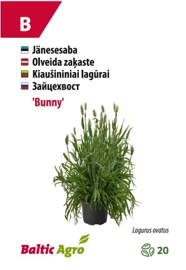 JÄNESESABA BALTIC AGRO "BUNNY"