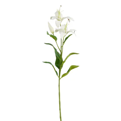 KUNSTLILL MICA DECORATIONS TIIGERLIILIA 77CM KREEM