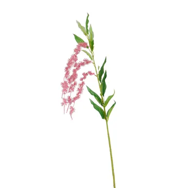 KUNSTTAIM MICA DECORATIONS REBASHEIN 68CM ROOSA