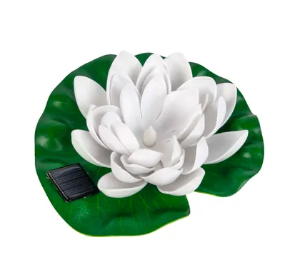 AIAVALGUSTI SOLAR LOOTOSEÕIS 6,5CM